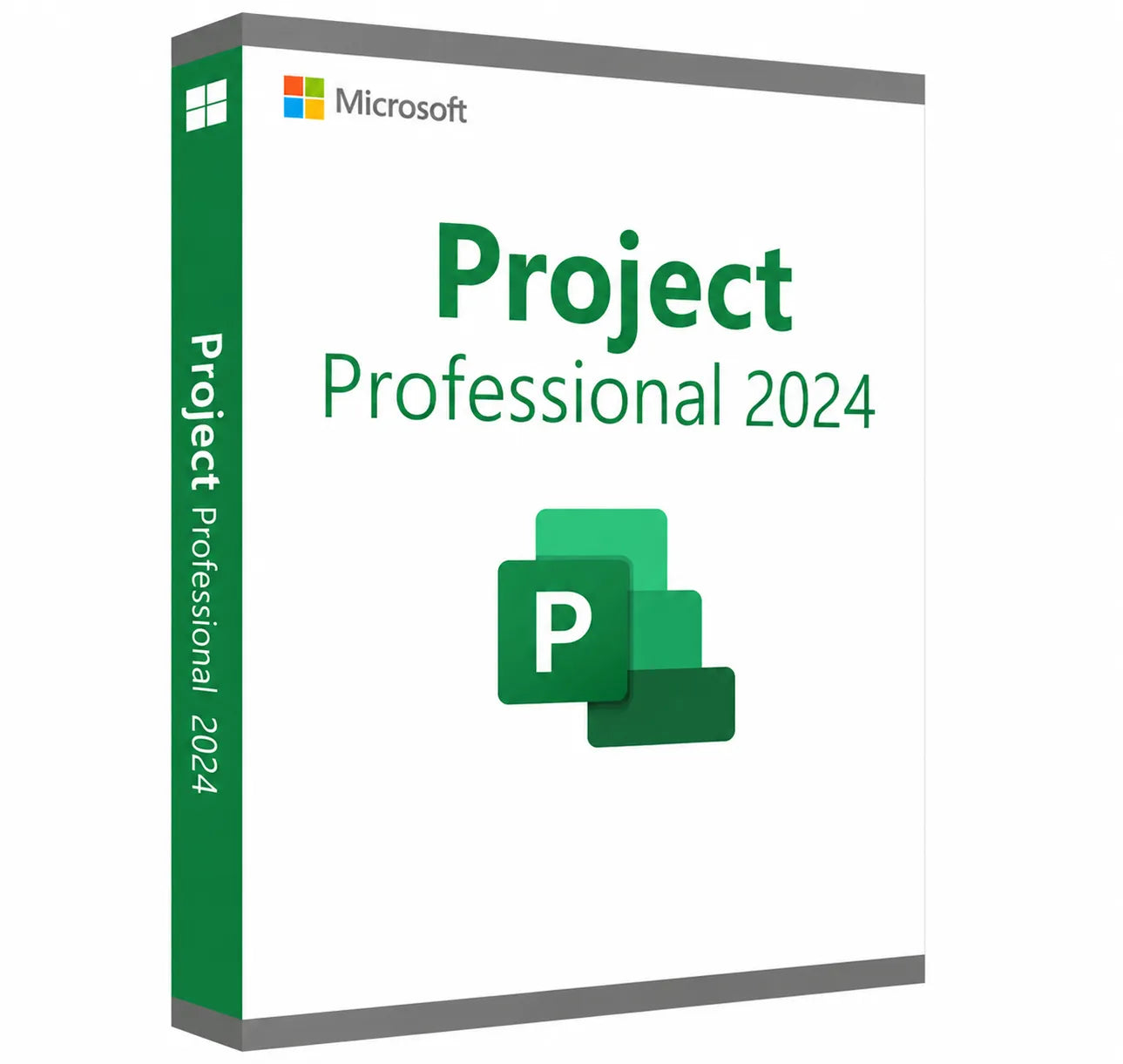 Microsoft Project 2024 Professional Retail License Main image